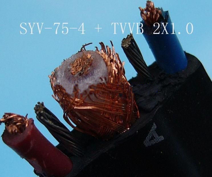 ݌(zhun)ñO(jin)ҕlC|TVVBG-TV SYV75-3RV2*0.75 TVVBG-TVSYV75-5RV2*1.0